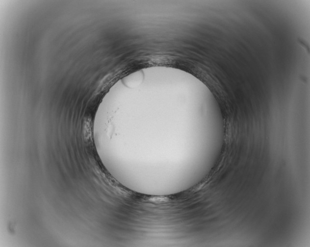 X0000102790478200808180958
