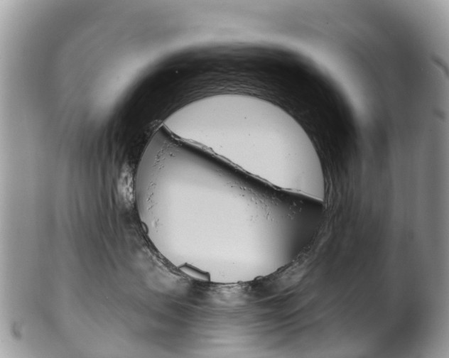 X0000102790479200808180958