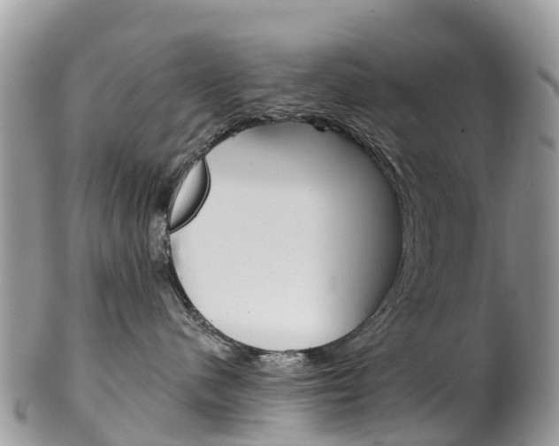 X0000102790480200808180958