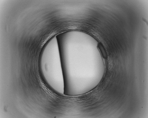 X0000102790482200808180957