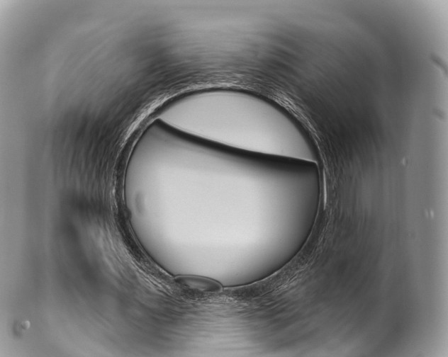 X0000102790483200808180957