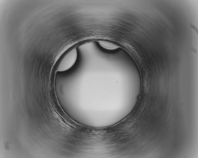X0000102790484200808180957
