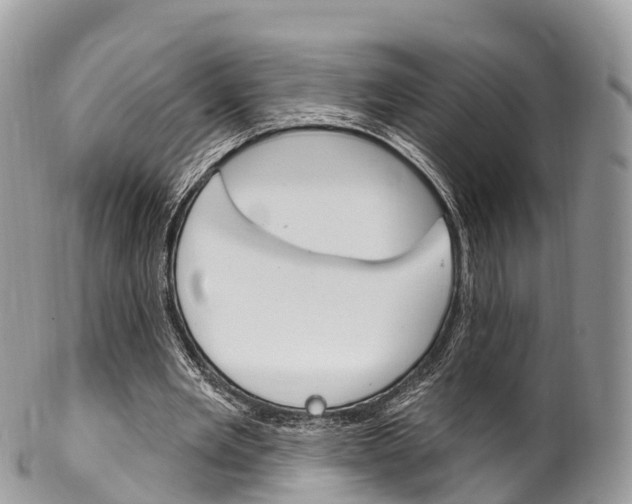 X0000102790485200808180957