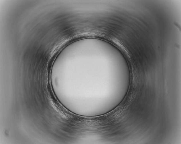 X0000102790486200808180957