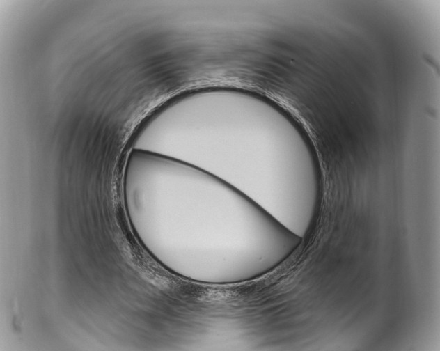 X0000102790487200808180957