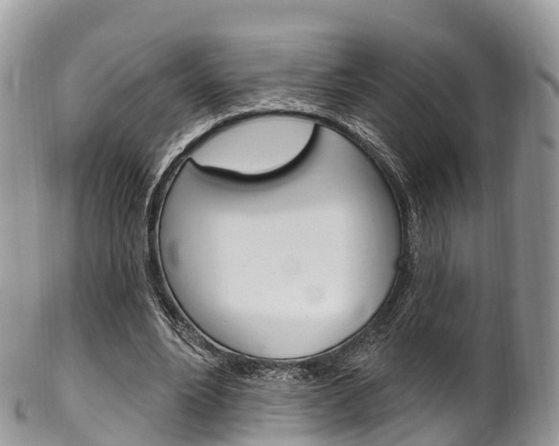 X0000102790488200808180957