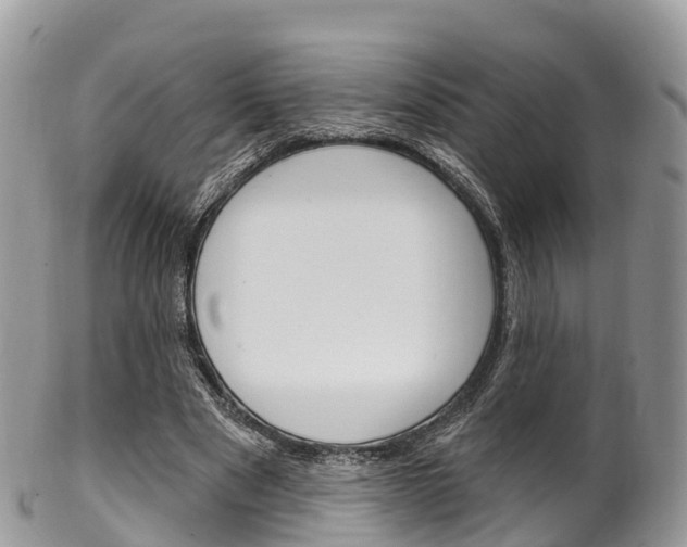 X0000102790489200808180957