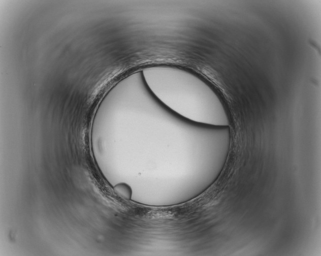 X0000102790491200808180957