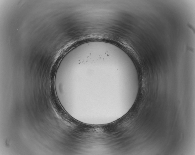 X0000102790492200808180957