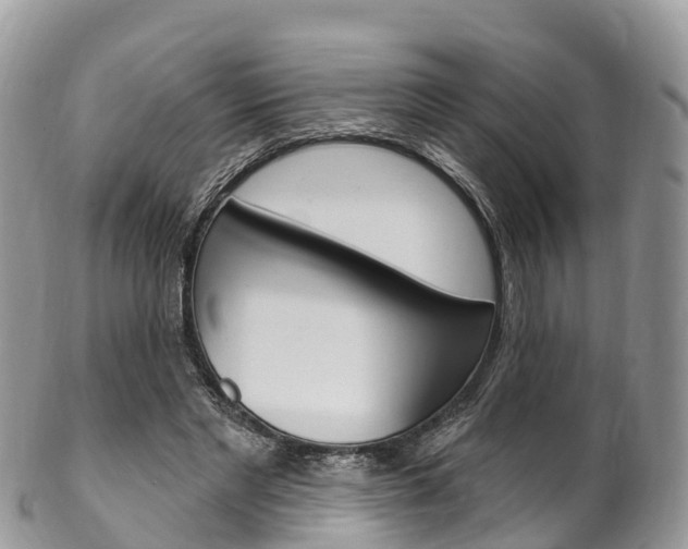 X0000102790493200808180957