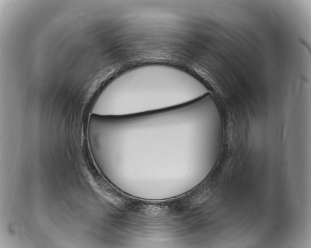 X0000102790494200808180957