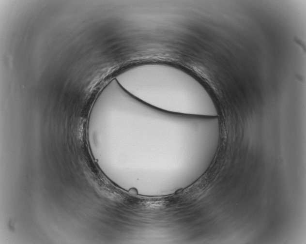X0000102790495200808180957