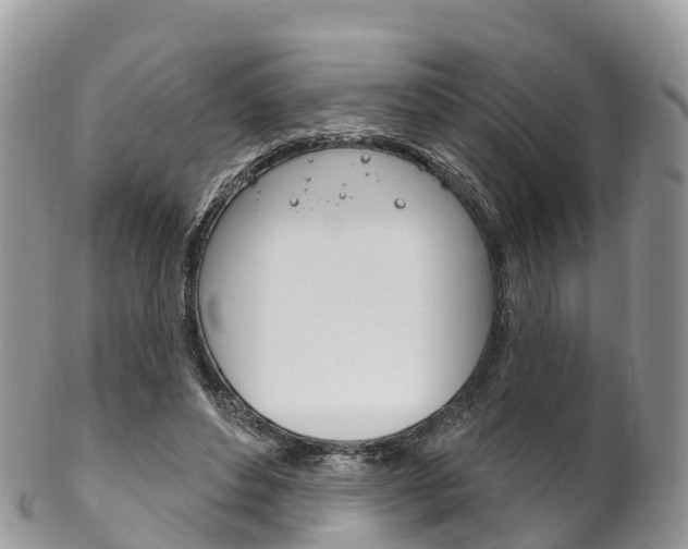 X0000102790496200808180957