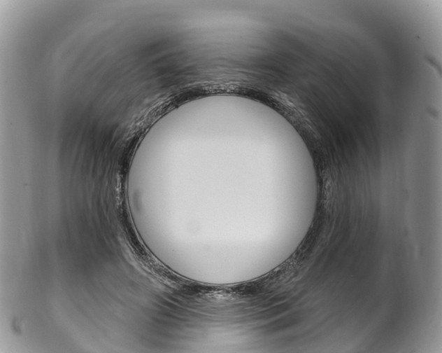 X0000102790498200808180957