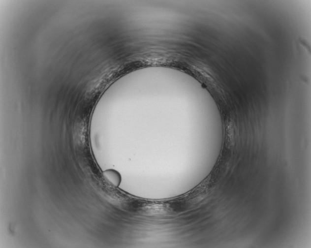 X0000102790499200808180957