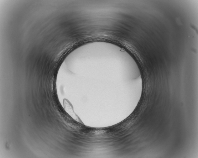 X0000102790501200808180957