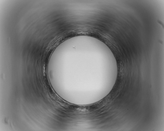 X0000102790502200808180957