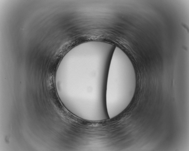 X0000102790503200808180957