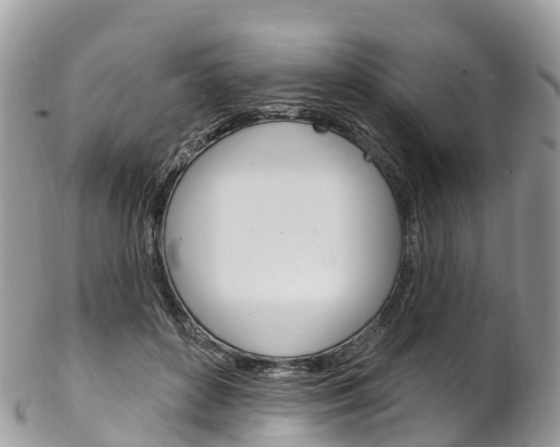 X0000102790504200808180957