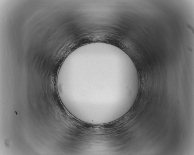 X0000102790506200808180957