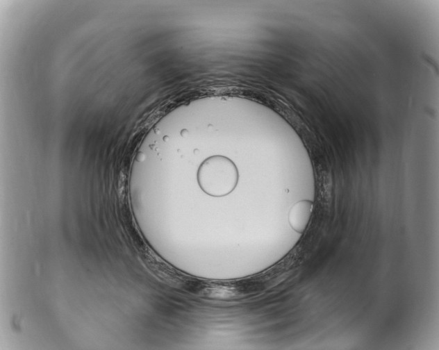 X0000102790507200808180957