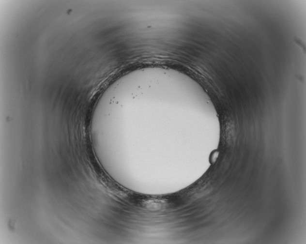 X0000102790508200808180957