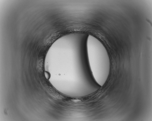 X0000102790509200808180957