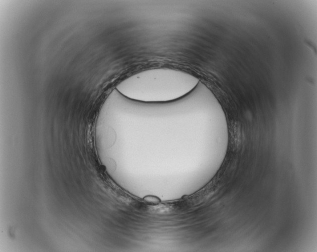 X0000102790511200808180957