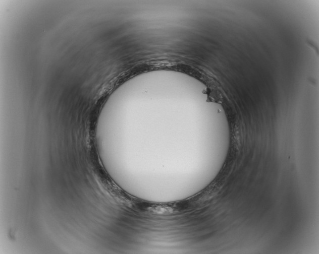X0000102790512200808180957