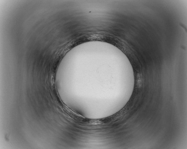 X0000102790514200808180957