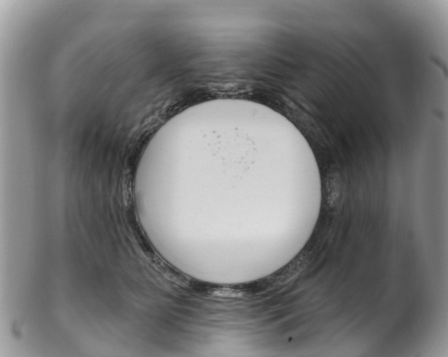 X0000102790515200808180956