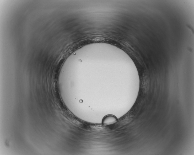 X0000102790516200808180956