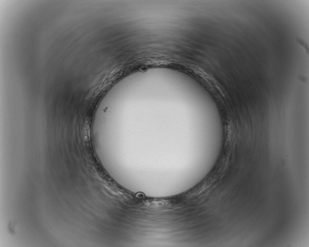 X0000102790517200808180956