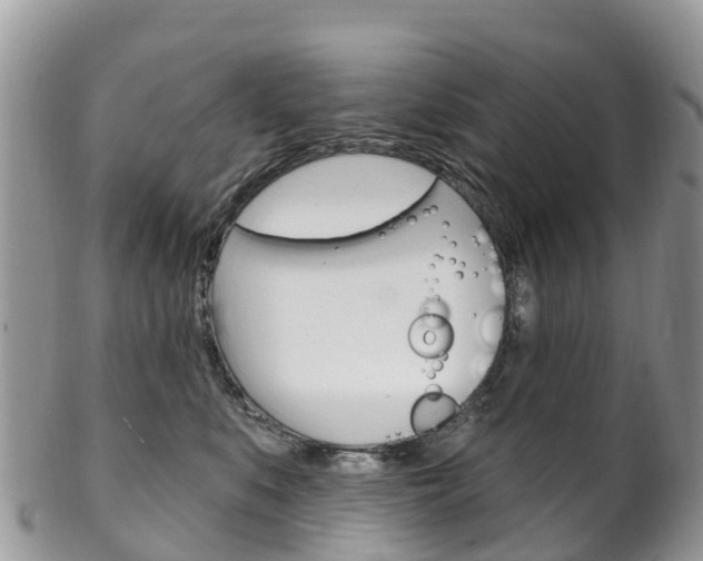 X0000102790519200808180956