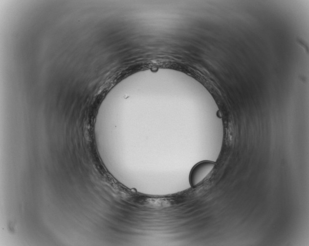 X0000102790520200808180956