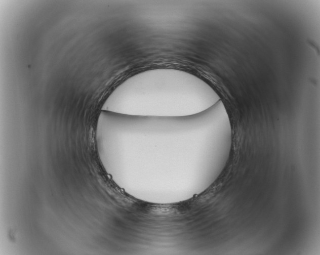 X0000102790521200808180956