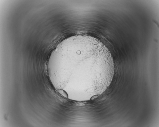 X0000102790523200808180956