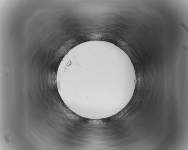 X0000102790525200808180956