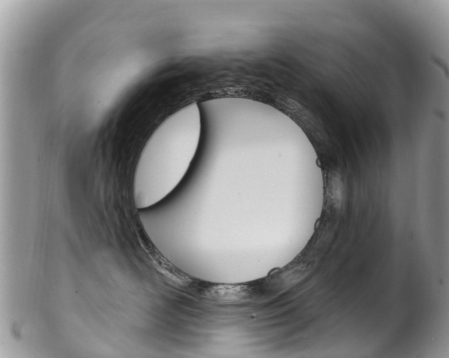 X0000102790526200808180956