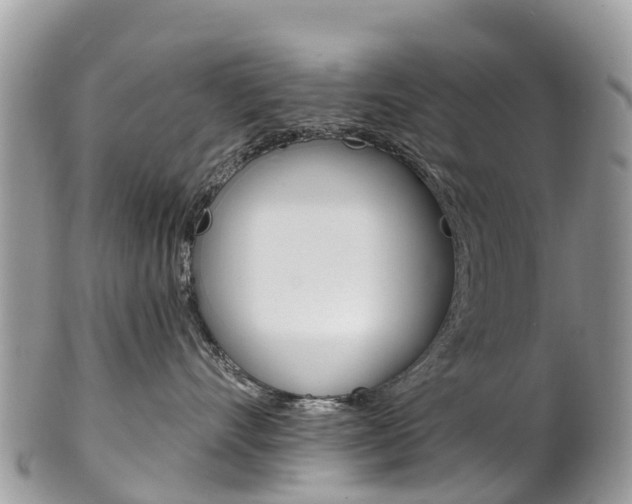 X0000102790528200808180956