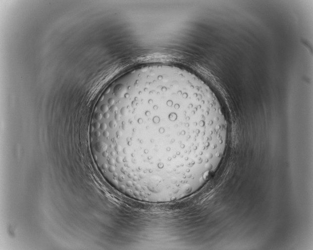 X0000102790529200808180955