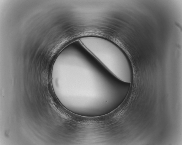 X0000102790530200808180955