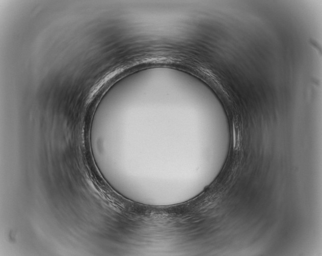X0000102790531200808180955