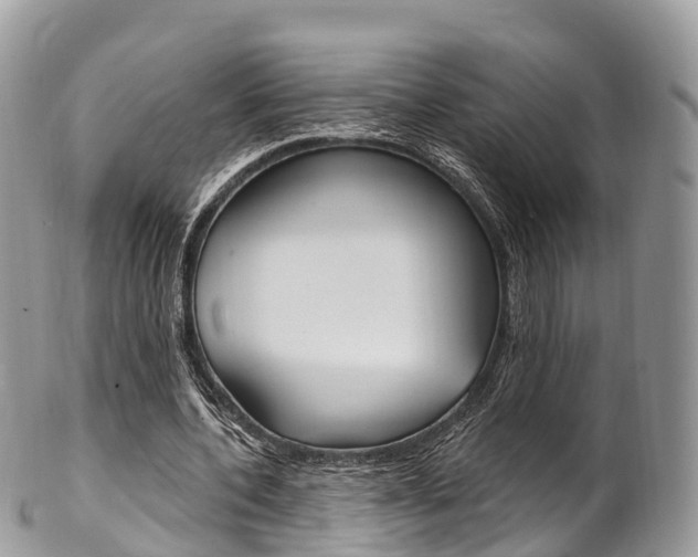 X0000102790532200808180956