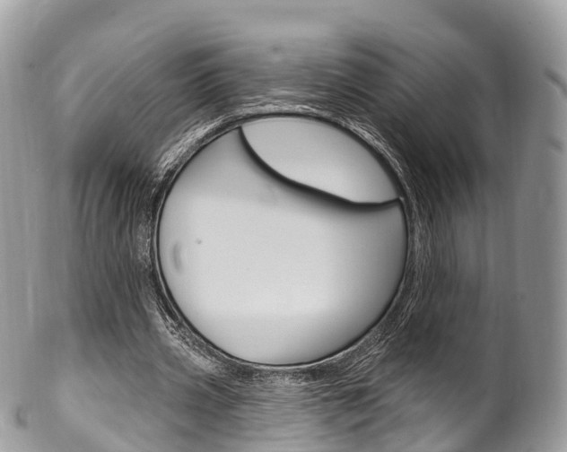 X0000102790533200808180956