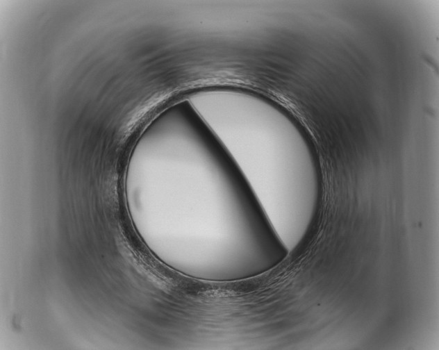 X0000102790535200808180956