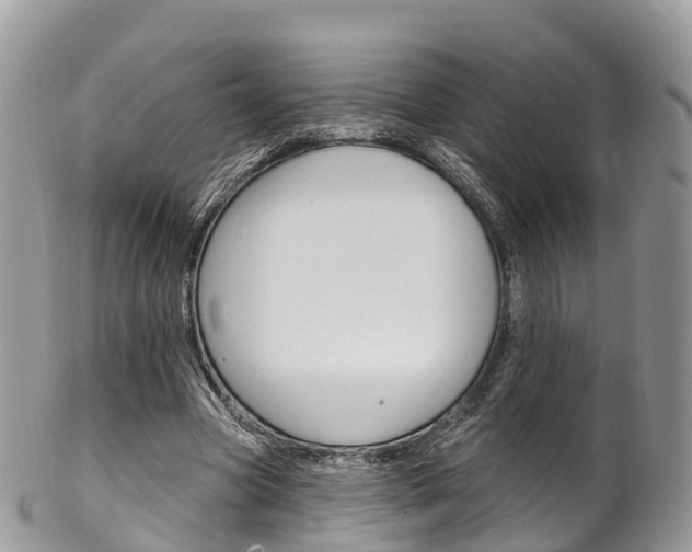 X0000102790537200808180956