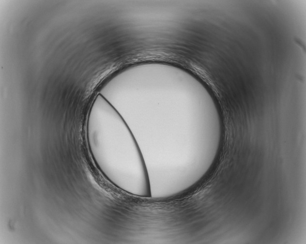 X0000102790538200808180956