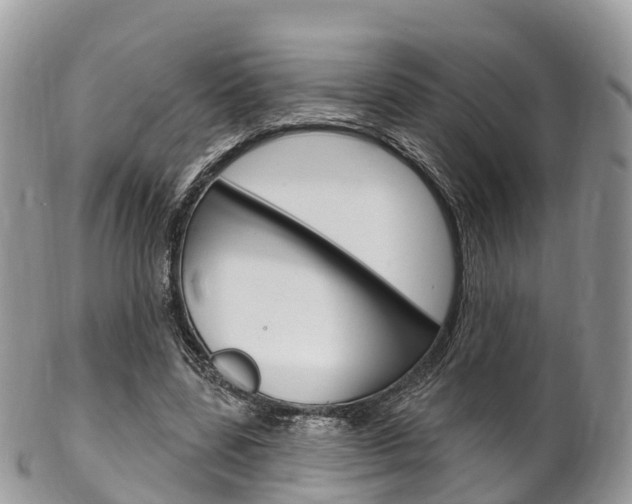 X0000102790539200808180956