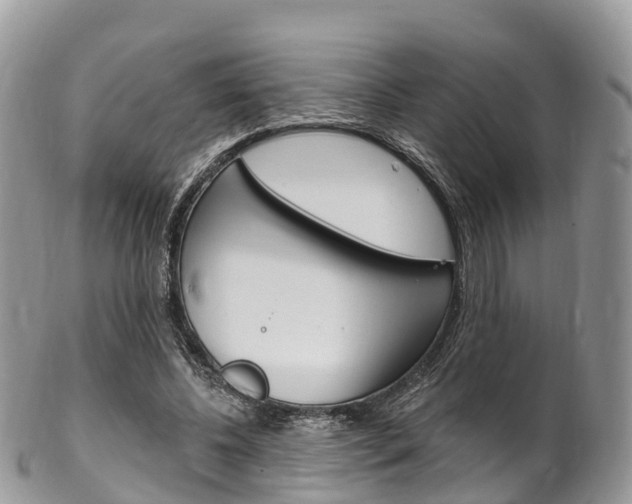 X0000102790540200808180956